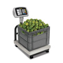 Báscula de Plataforma BP-80